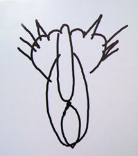 Акварельные коты