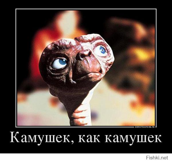  Загадочный  камушек 