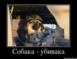 Такие разные собаки