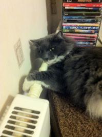 Точно зима пришла!