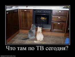 А по этому ТВ всегда показывают то что надо! ))))