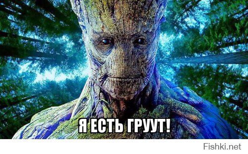 Как природа побеждает цивилизацию