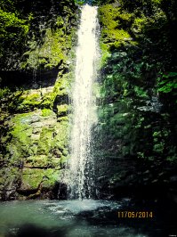 Мистические леса, которые вам захочется увидеть своими глазами