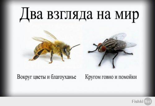 >Мне бы хотелось узнать где вы проживаете уважаемый? Вы всего этого не видите?

Знаете, говорят снявши голову по волосам не плачут. Заводы вам жалко? А советской власти не жалко? 
Я радуюсь тому, что из той бездны 90-х мы выкорабкались, живем и развиваемся. И явный прогресс на лицо. Далеко не все хорошо. Но общая тенденция радует.
А живу я в райцентре Брянской области. Дотационный регион. Асфальт кладут там где его не было в советские годы. Дороги в весьма приличном состояни. Магазинов много строится. Но строится и завод керамических изделий. Часть производств с советских времен работает. 
А касательно Вас, вот Вам картинка: