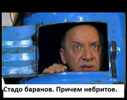 С неба на землю