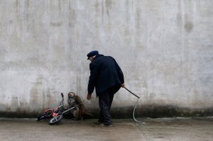 Фотоподборка за 24.02.2015