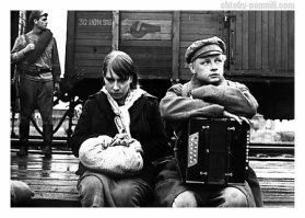 «В огне брода нет»