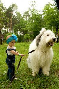 20 огромных собак, которые все еще щенки в душе