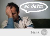 Подборка видео от 10.01.2014 