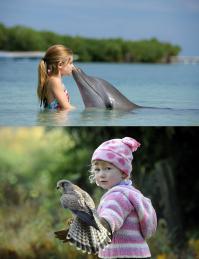 А это самые четырехлапые...