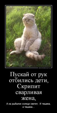 Фишкина солянка за 05.09.2014