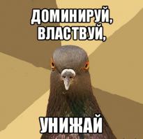 Как кот крота унизил