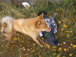 Северная рыбалка