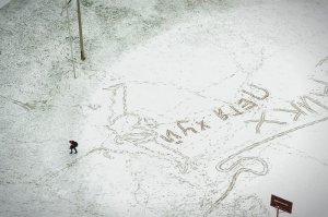 Из моего окна