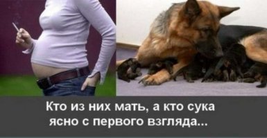 Будни участкового педиатра