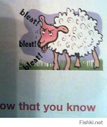 Это овечка из детского учебника по английскому. И, кажется, она чем-то расстроена!