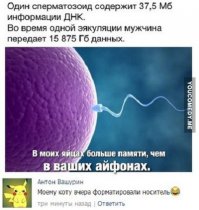 Смешные комментарии из социальных сетей 16.01.15