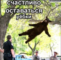 Познавательная информация о сексе