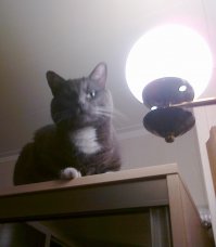 Я просто оставлю это здесь.