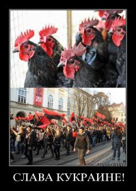 Я хочу сидеть в родной стране. В Украине. За это и воюем