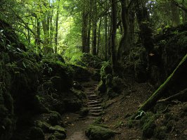 Puzzlewood, Великобритания