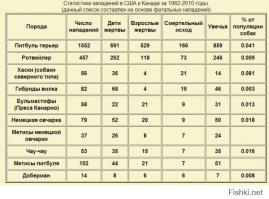 20 доказательств того, что питбули самые ласковые собаки в мире