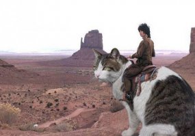 эта кстати прикольная