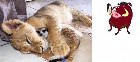 20 фотографий обнимашек, от которых становится теплее на душе