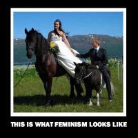 Картинка не подходит.
Тут скорее нужно что-то типа...