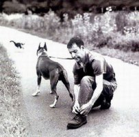 33 фотографии, снятые в идеальный момент