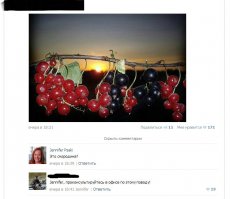 Смешные комментарии из социальных сетей 22.01.15