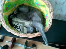 ДА, позы бывают самые неординарные. Главное что бы фотик был рядом.