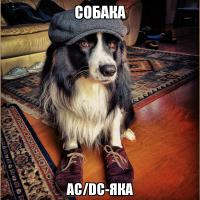 Фотоподборка за 03.06.2014