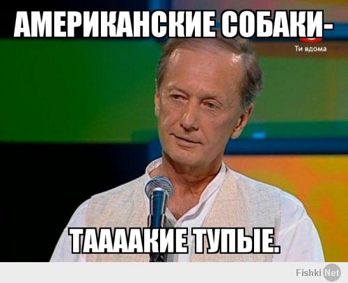 Подборка видео от 26.05.2014