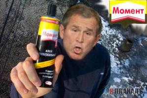 Обидчик бездомного по кличке "Компот"