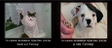 Уникальный окрас