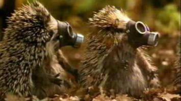 А что про Йожыков!? Мы к срачу всегда готовы!;)