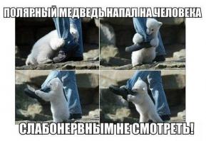 Шок!!! Злобная собака!!!