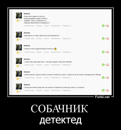  Нашим друзьям  посвещается!          Собаке человек друг! 