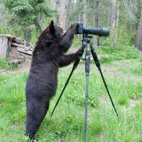 Прирожденные фотографы