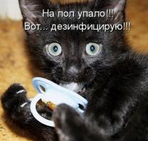 Смешные картинки с подписями
