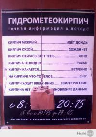Фишкина солянка за 15.07.2014