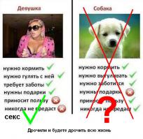 Прикольные картинки