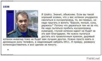 Кошка спасает своего котенка 