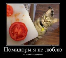 Смешные картинки с подписями 