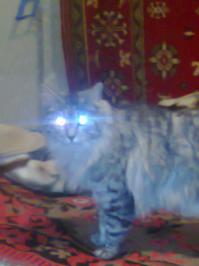 А это мой: