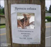 Cелфи с чупакаброй