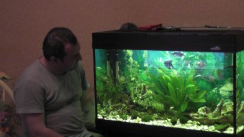 А это моя "баночка" на 140 литров. Запустил пол года назад...