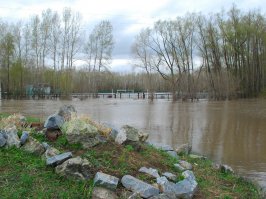 Ровно говоришь? А вот тебе два фото примерно с одного ракурса. На первом 2014, на втором 2015. И это только первая волна паводка, большая вода с гор ожидается в конце мая.