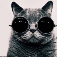 это фото у меня на рабочем столе уже много лет стоит заставкой. никогда не надоедает